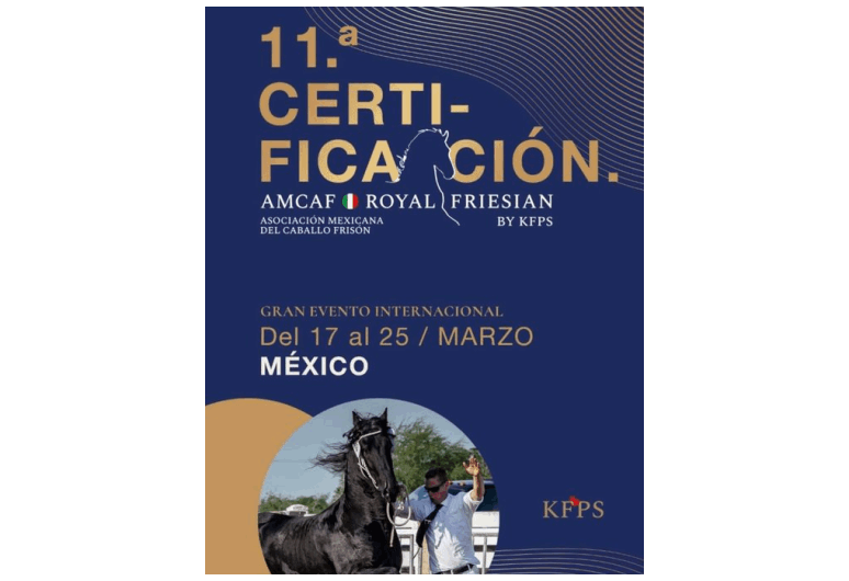 11a Certificación AMCAF