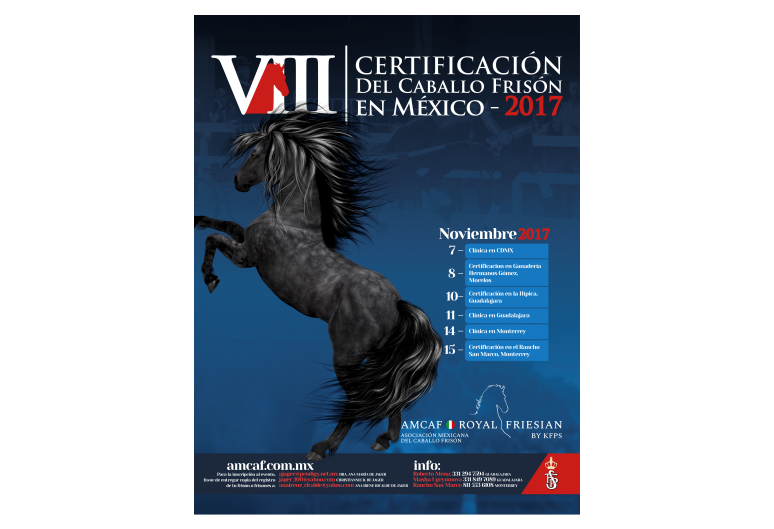 8a Certificación AMCAF