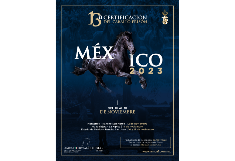 Cartel 13a Certificación AMCAF