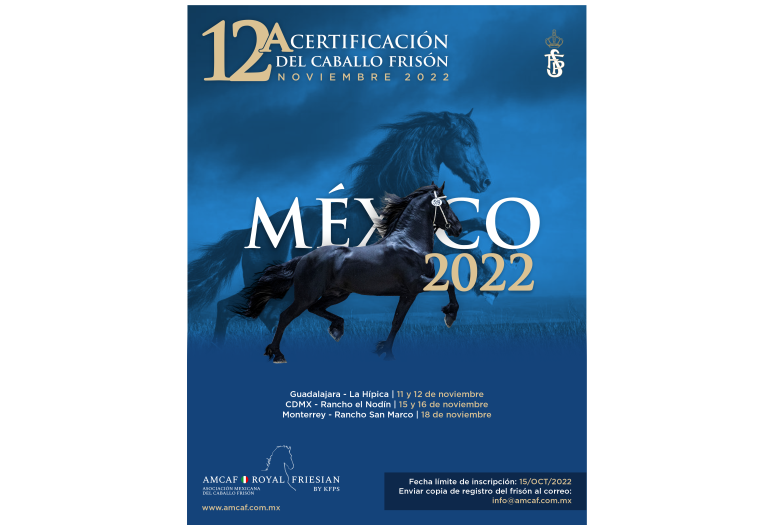 12a Certificación AMCAF